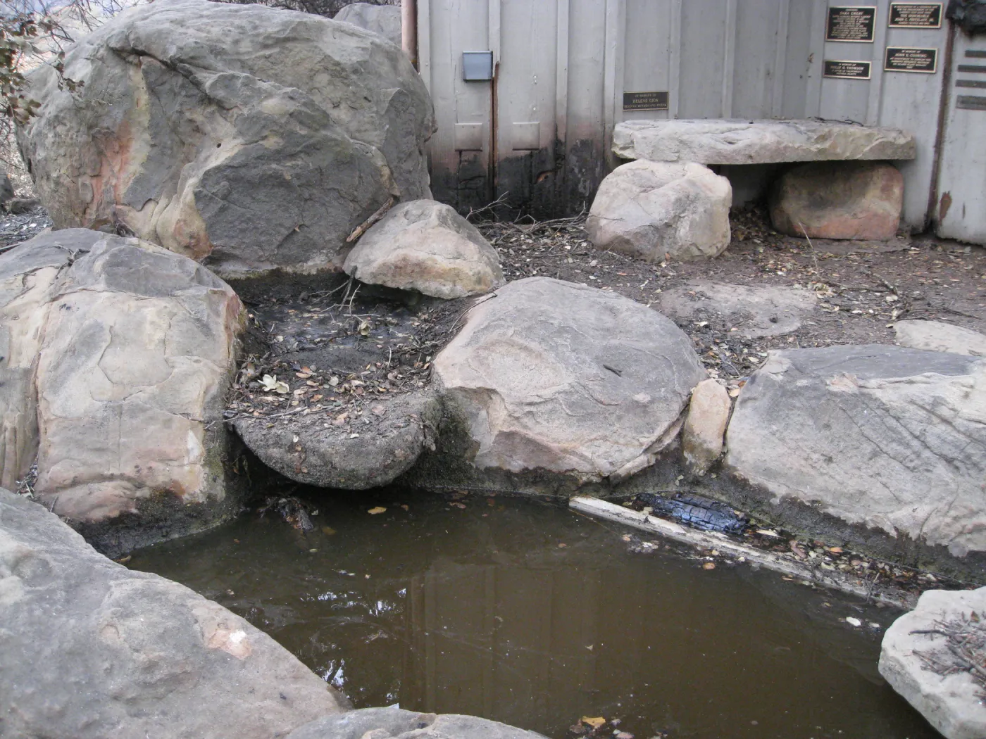 Santa Barbara Botanic Garden after the Jesusita Fire. Pond at Information Kiosk