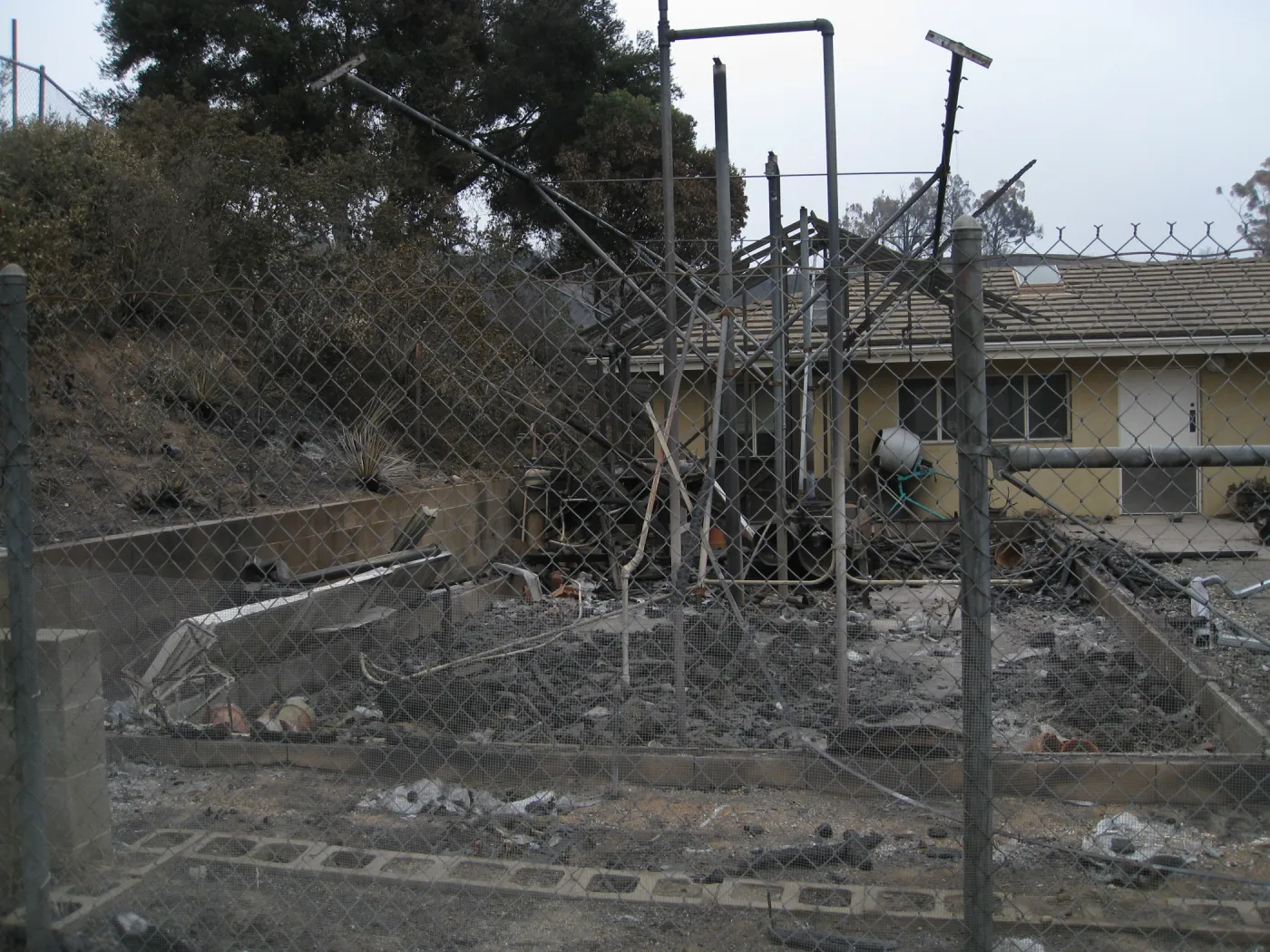 Santa Barbara Botanic Garden after the Jesusita Fire