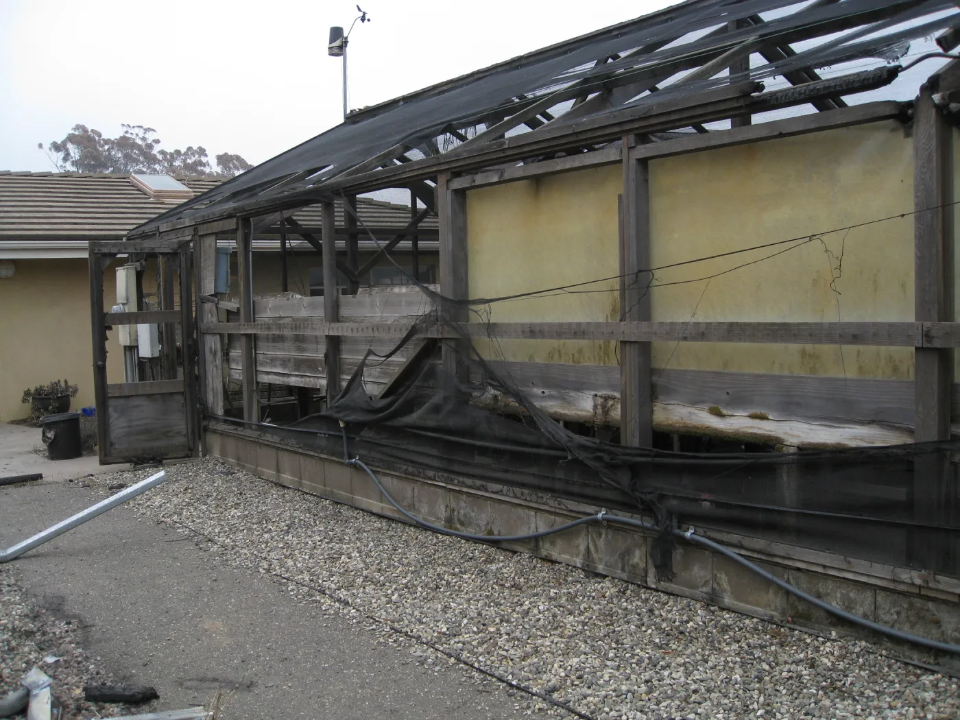 Santa Barbara Botanic Garden after the Jesusita Fire