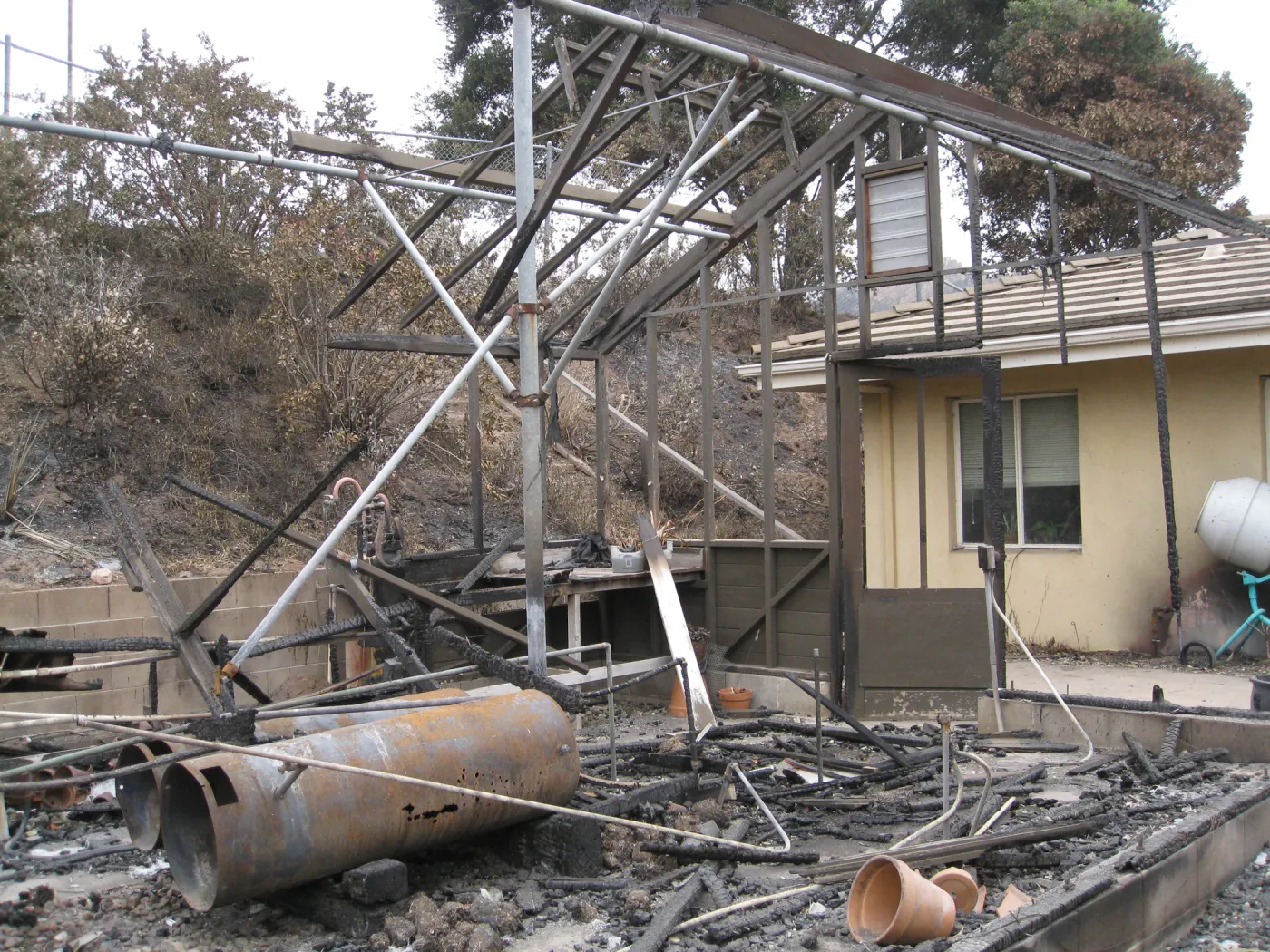 Santa Barbara Botanic Garden after the Jesusita Fire