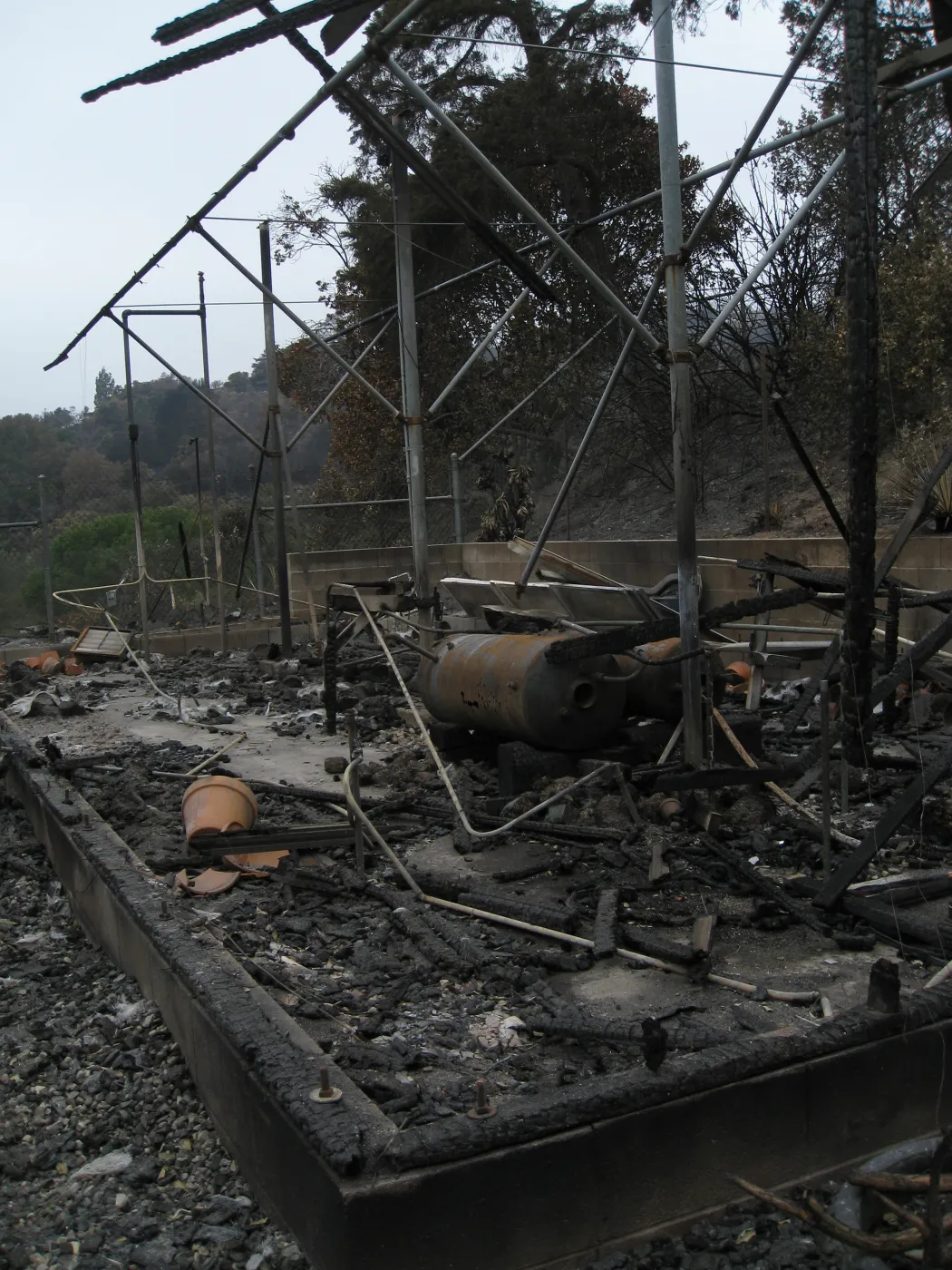 Santa Barbara Botanic Garden after the Jesusita Fire