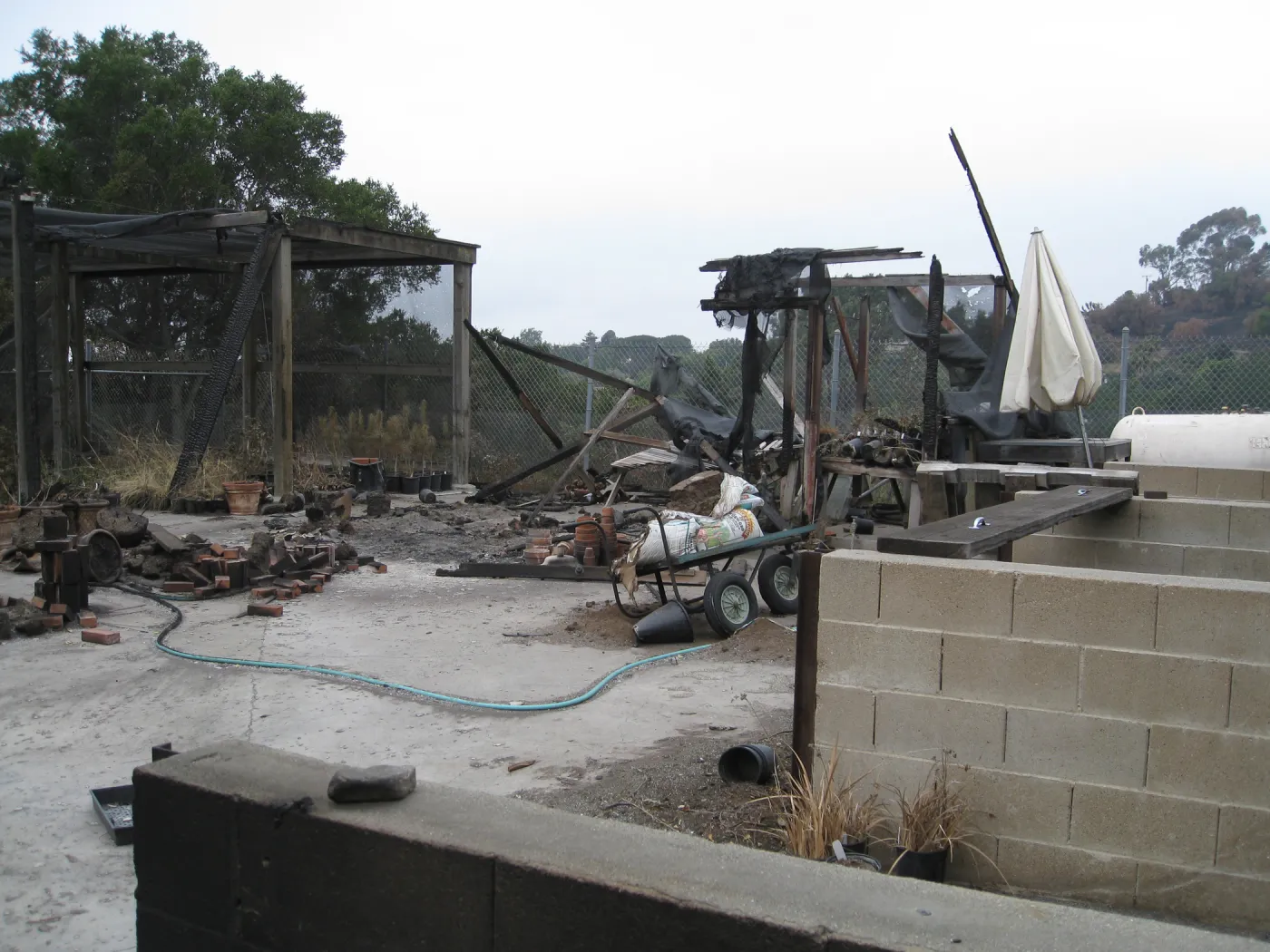 Santa Barbara Botanic Garden after the Jesusita Fire