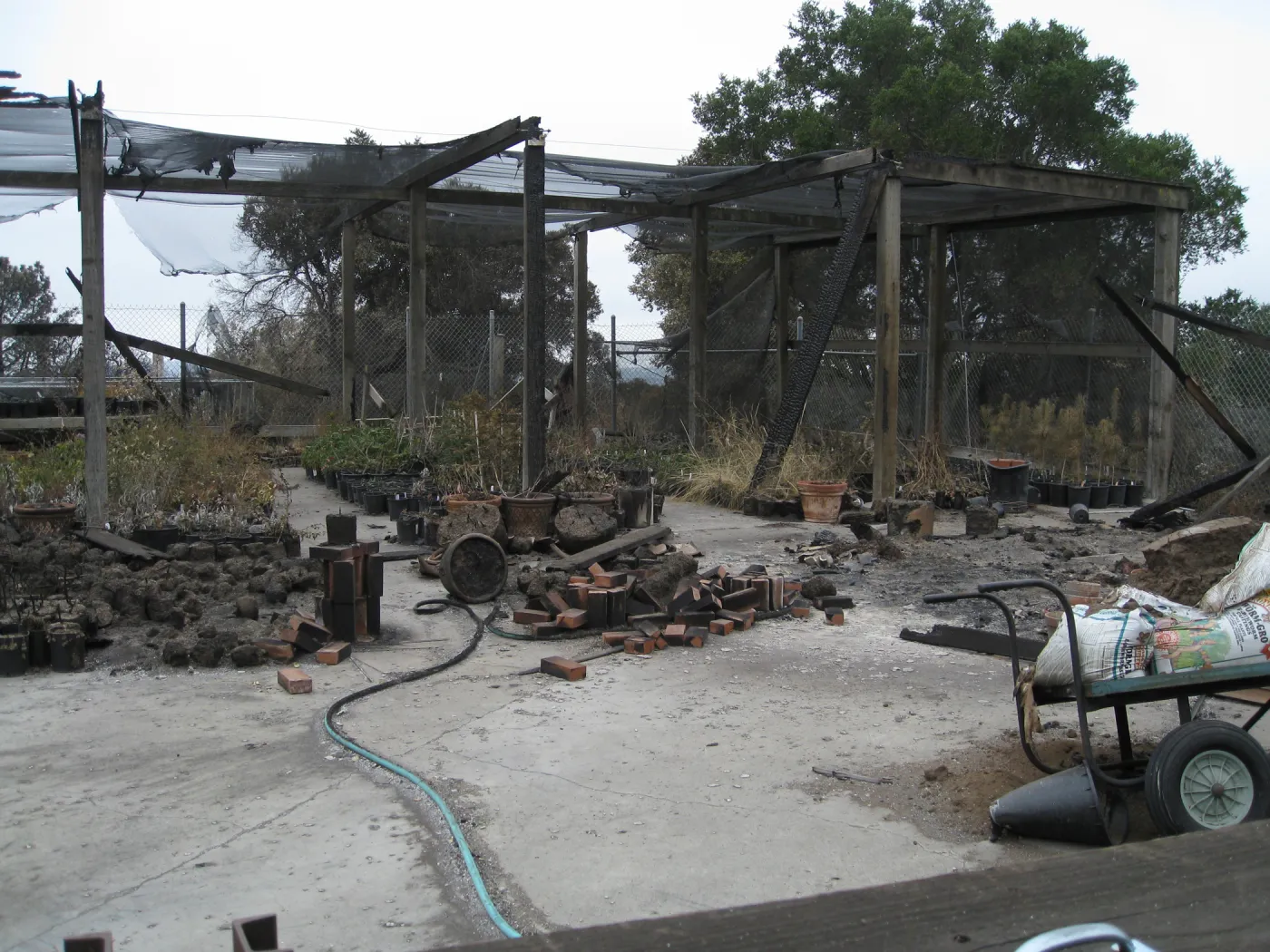 Santa Barbara Botanic Garden after the Jesusita Fire