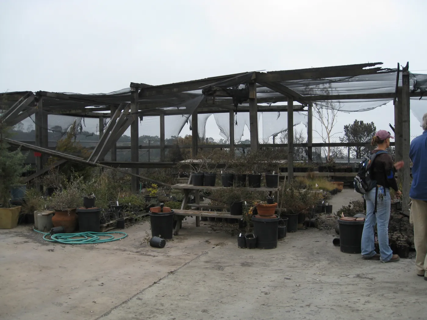 Santa Barbara Botanic Garden after the Jesusita Fire