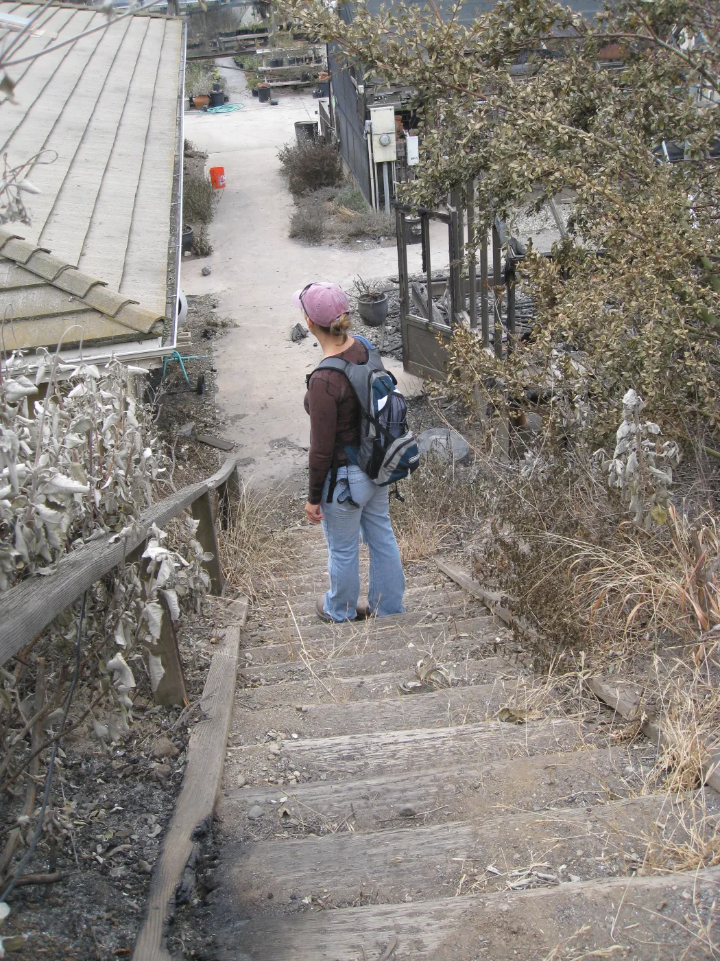 Santa Barbara Botanic Garden after the Jesusita Fire