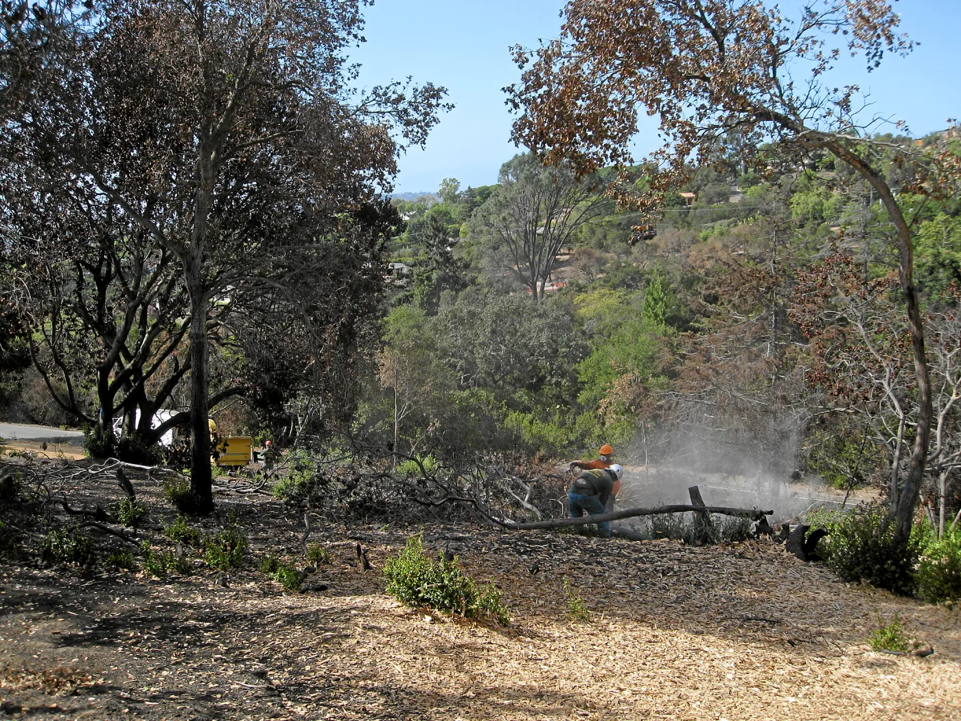 Cypress Section before tree clearing after Jesusita Fire