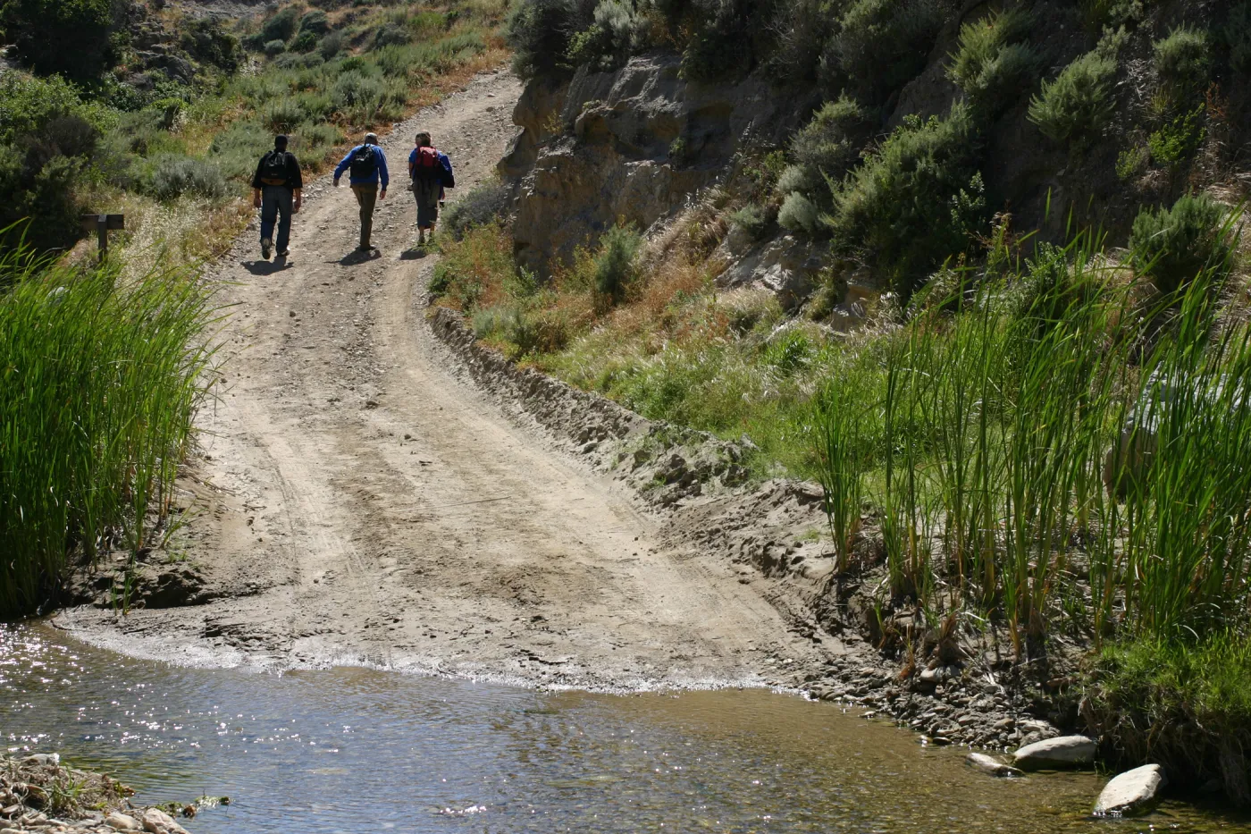 Santa Rosa Island