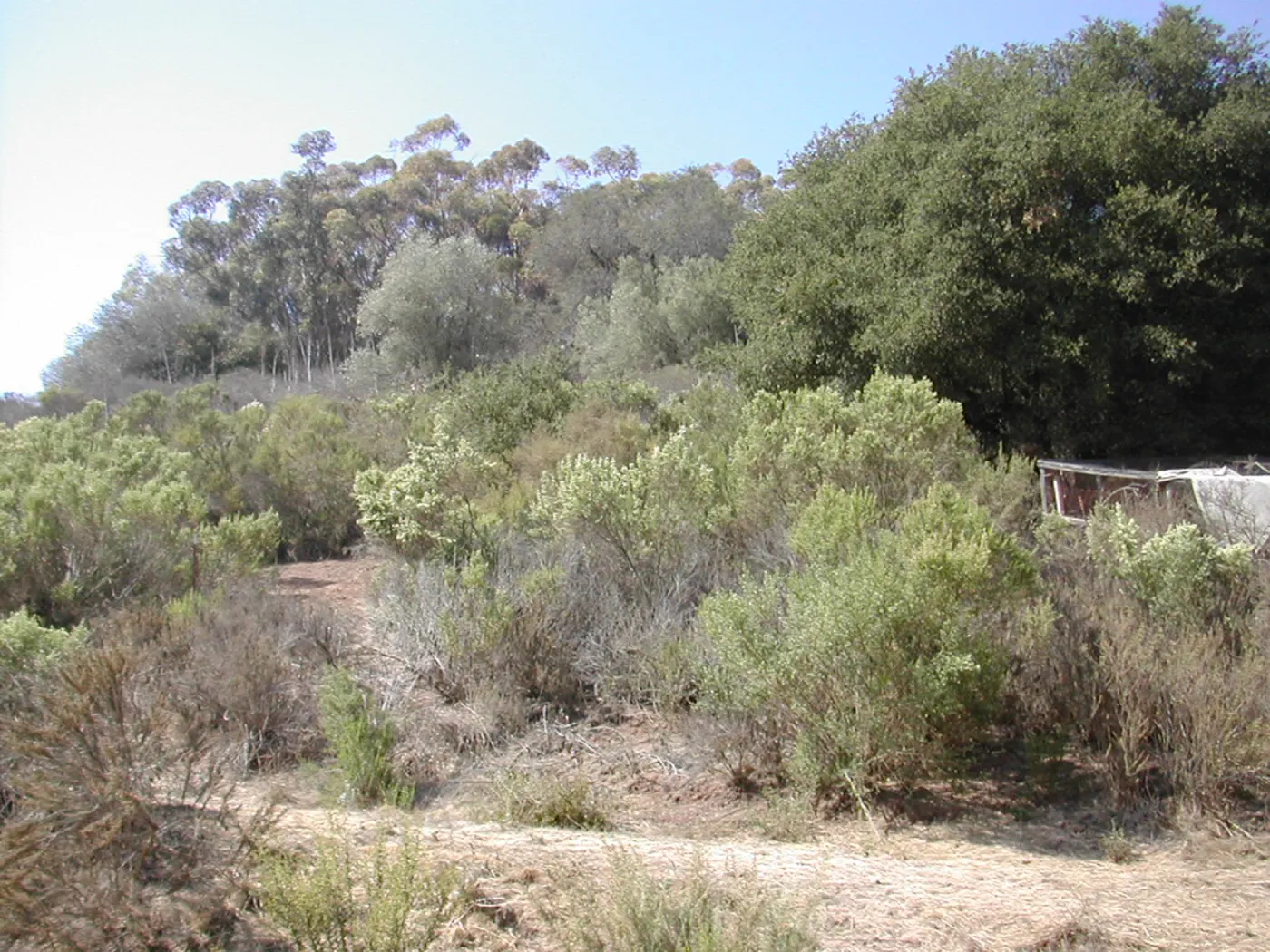 Cavalli property