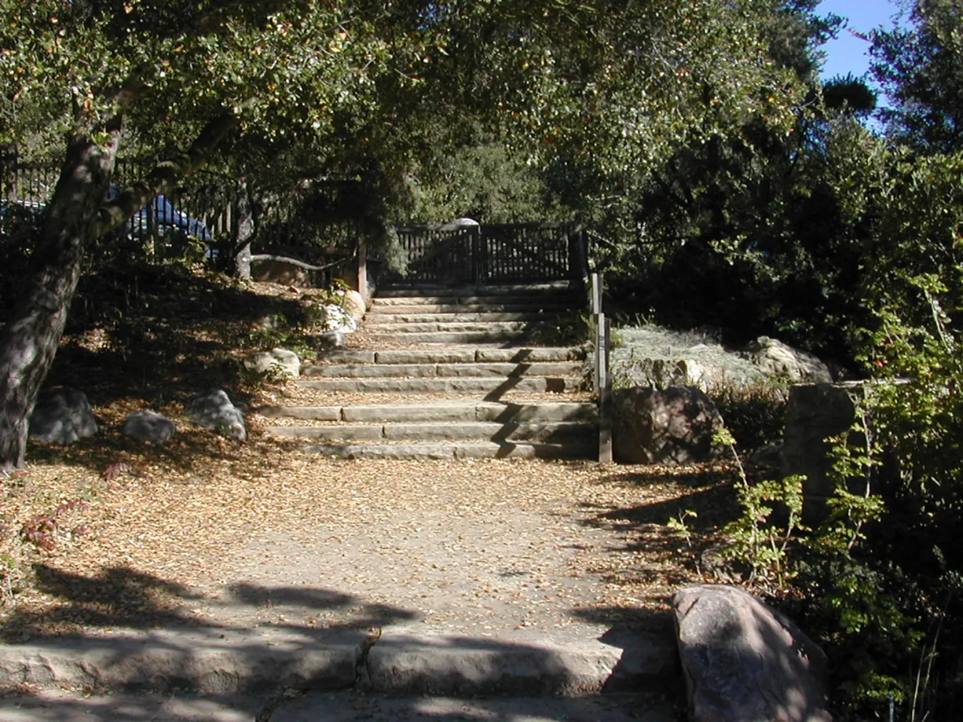 Clara Small Smith steps (from parking lot to Meadow)