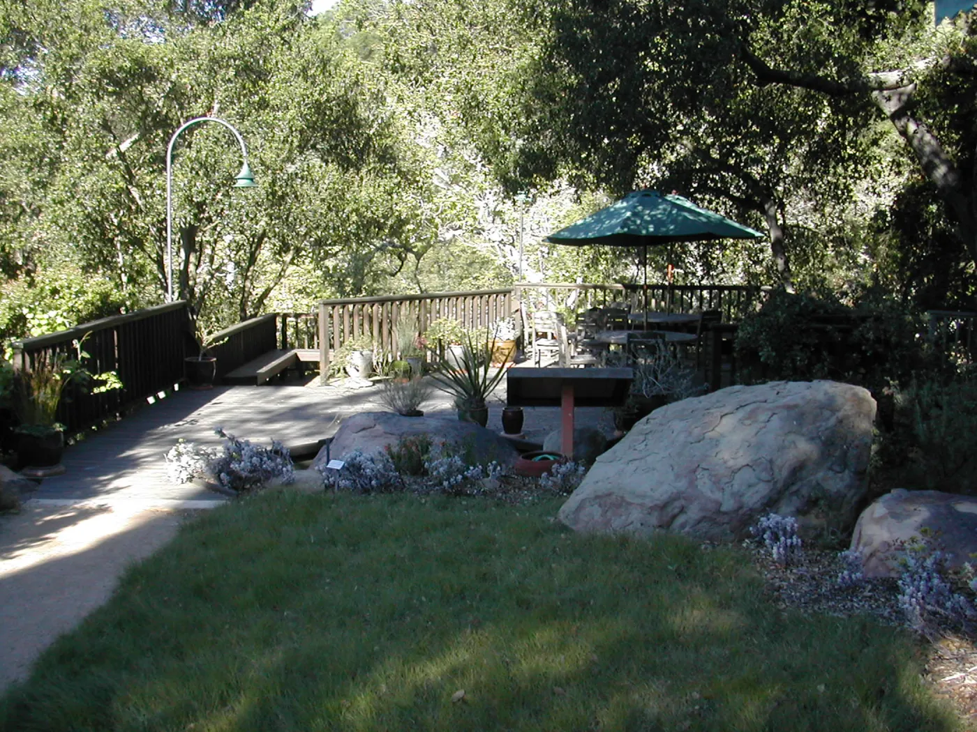 Bouteloua lawn behind Cottage, Home Demonstration Garden and Deck