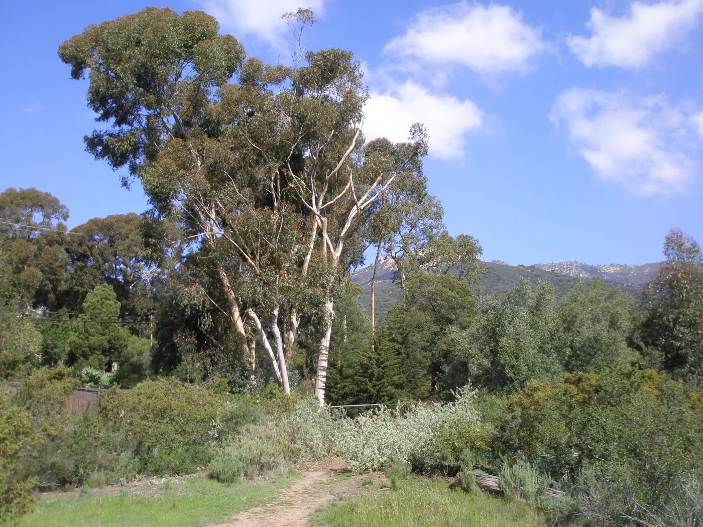 Upper entrance on Tunnel Road