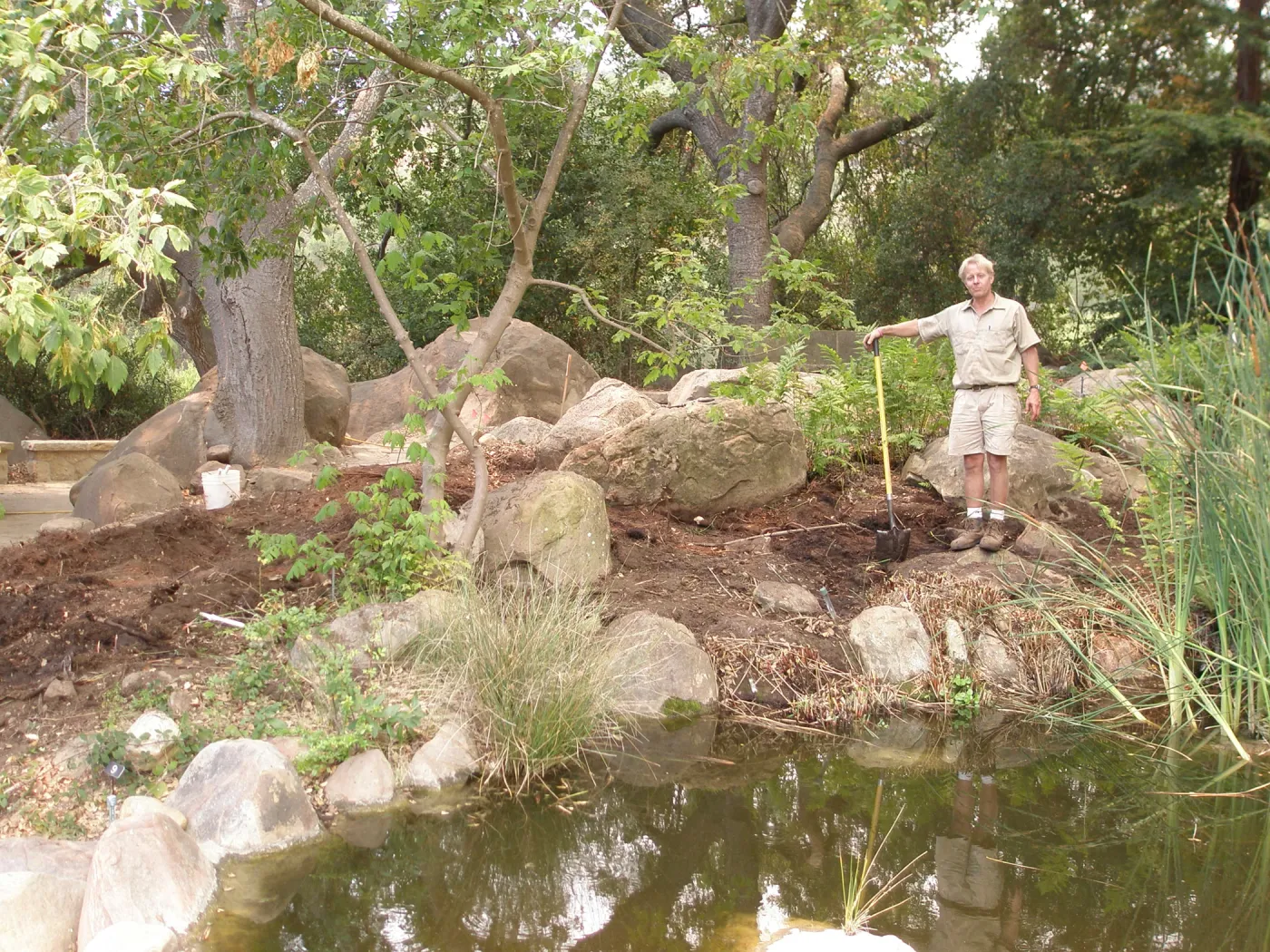 Construction of the Orchid Display