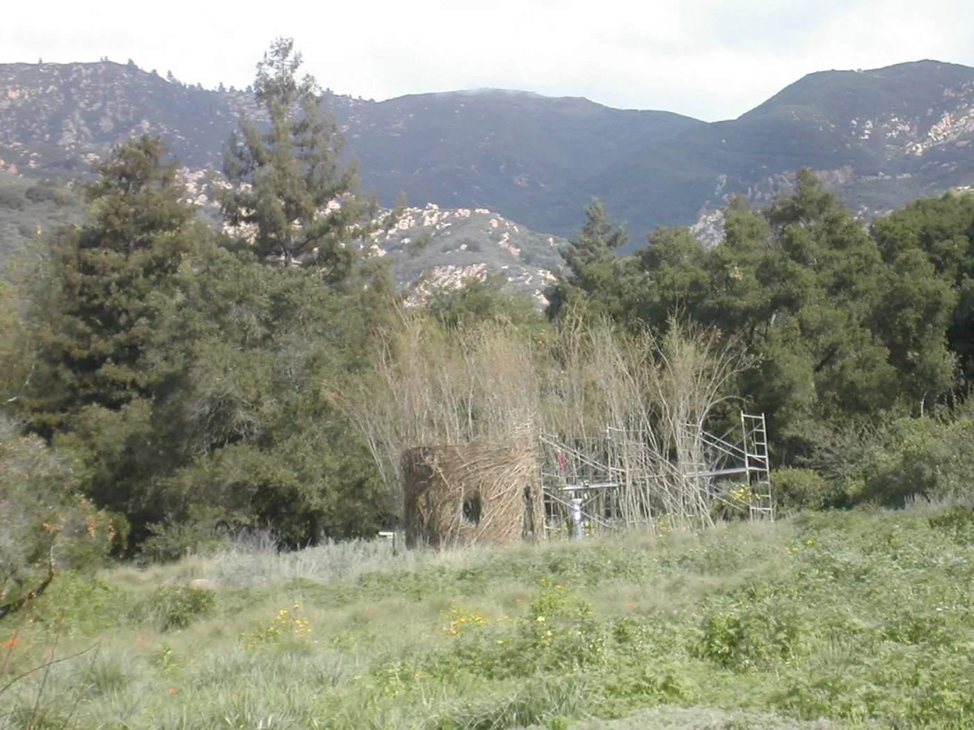 Construction of Toad Hall by Patrick Dougherty