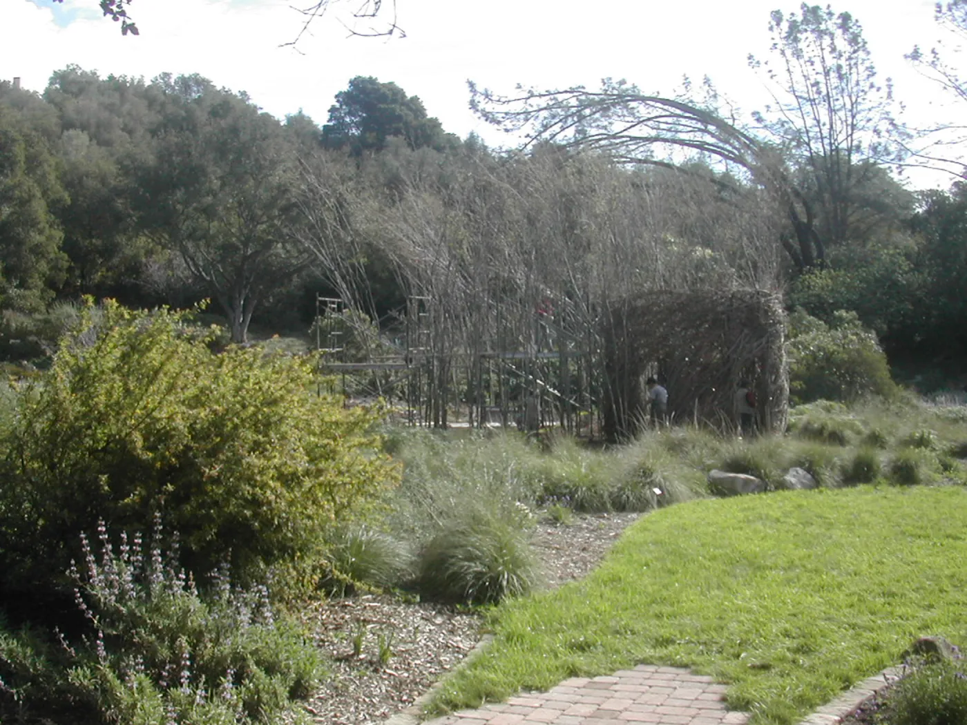 Construction of Toad Hall by Patrick Dougherty