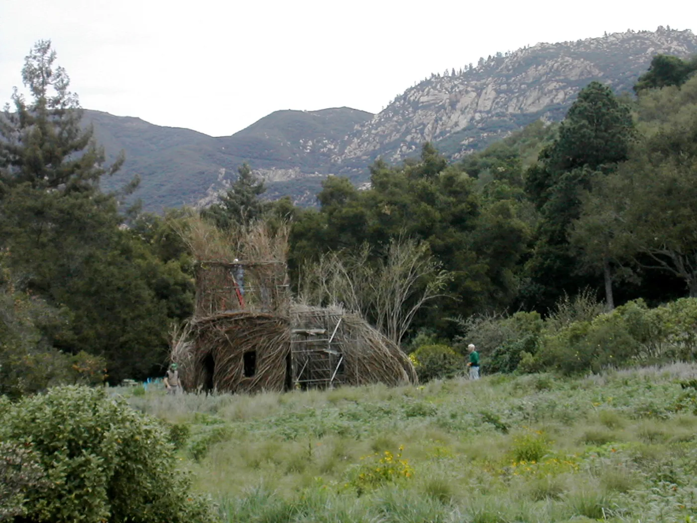 Construction of Toad Hall by Patrick Dougherty