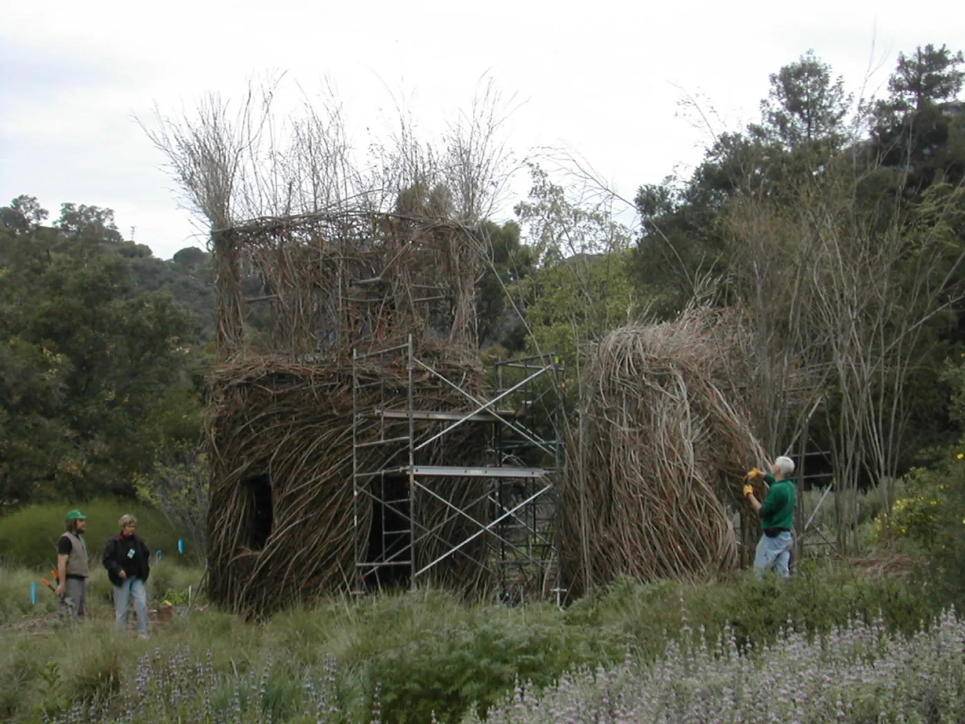 Construction of Toad Hall by Patrick Dougherty