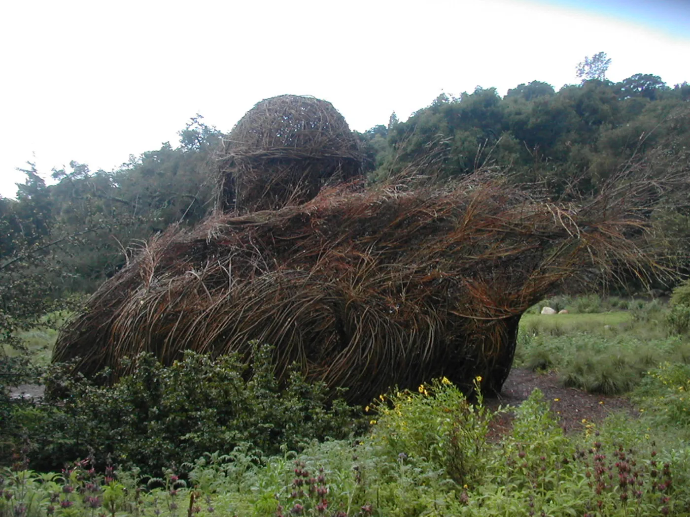 Construction of Toad Hall by Patrick Dougherty