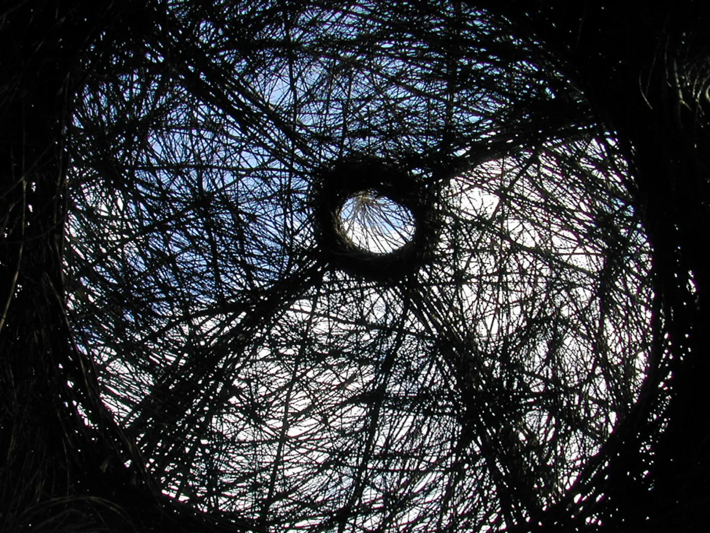 Construction of Toad Hall by Patrick Dougherty