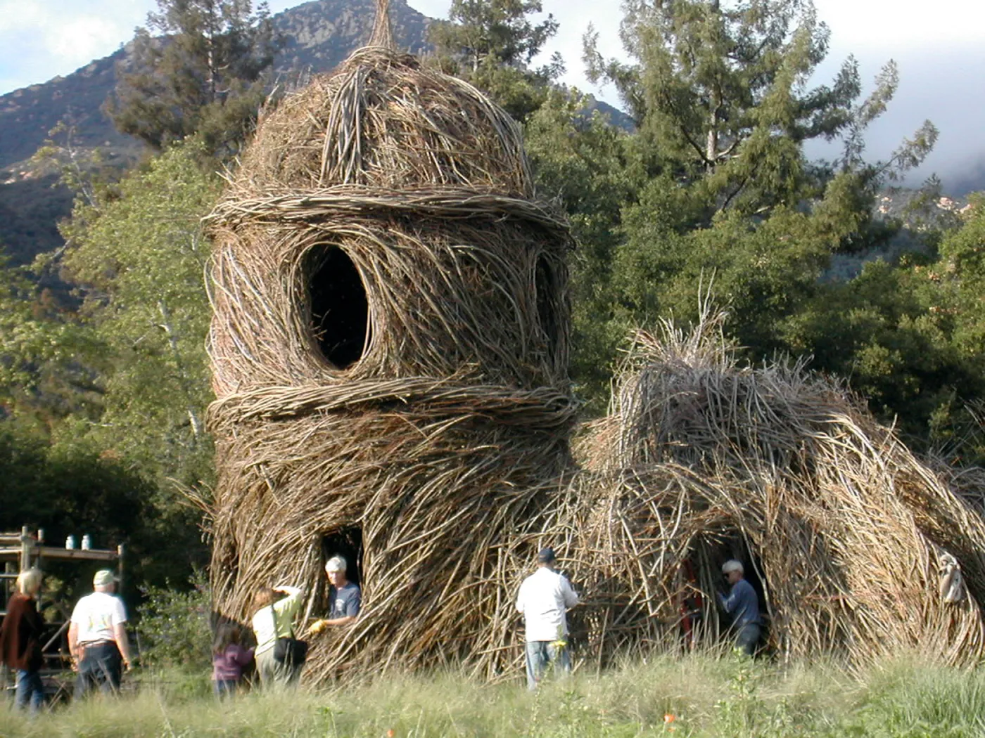 Construction of Toad Hall by Patrick Dougherty