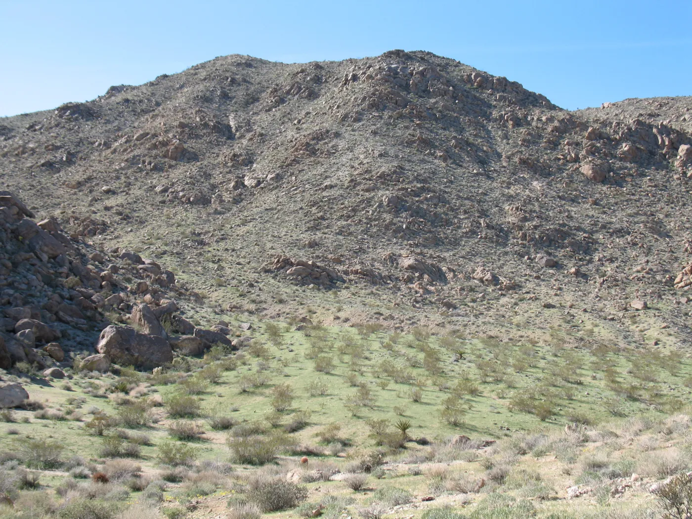 Trail to 49 Palms Oasis, Joshua Tree National Park