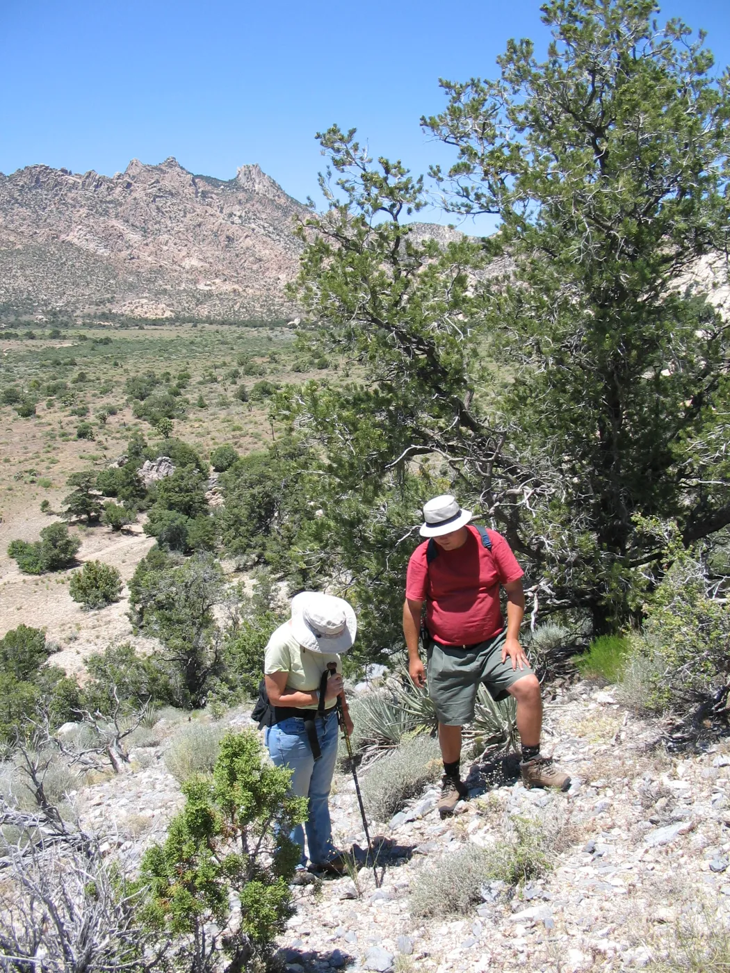 Betsy Collins, Andrew Wyatt, Caruthers Canyon, New York Mountains 