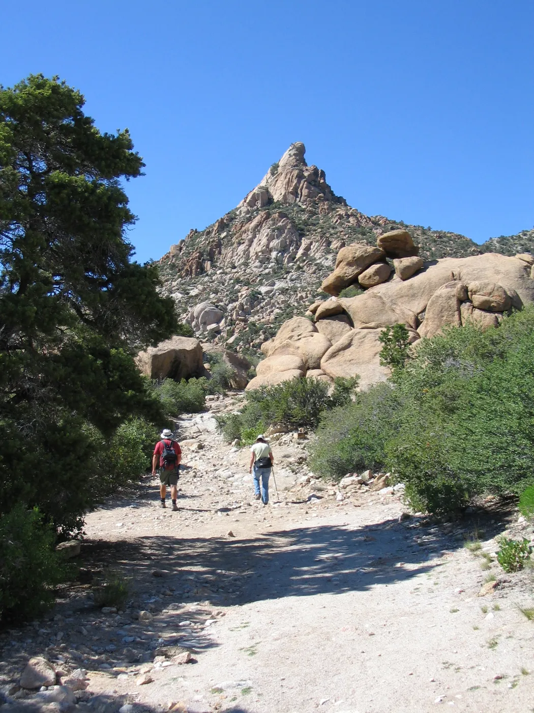 Andrew Wyatt, Betsy Collins, Caruthers Canyon, New York Mtns 