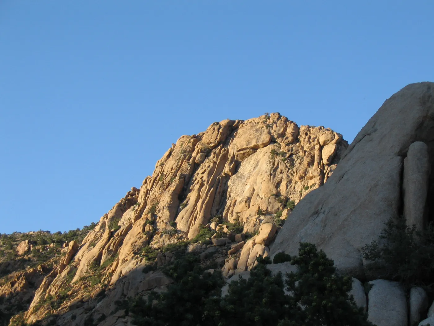 Caruthers Canyon, New York Mtns 