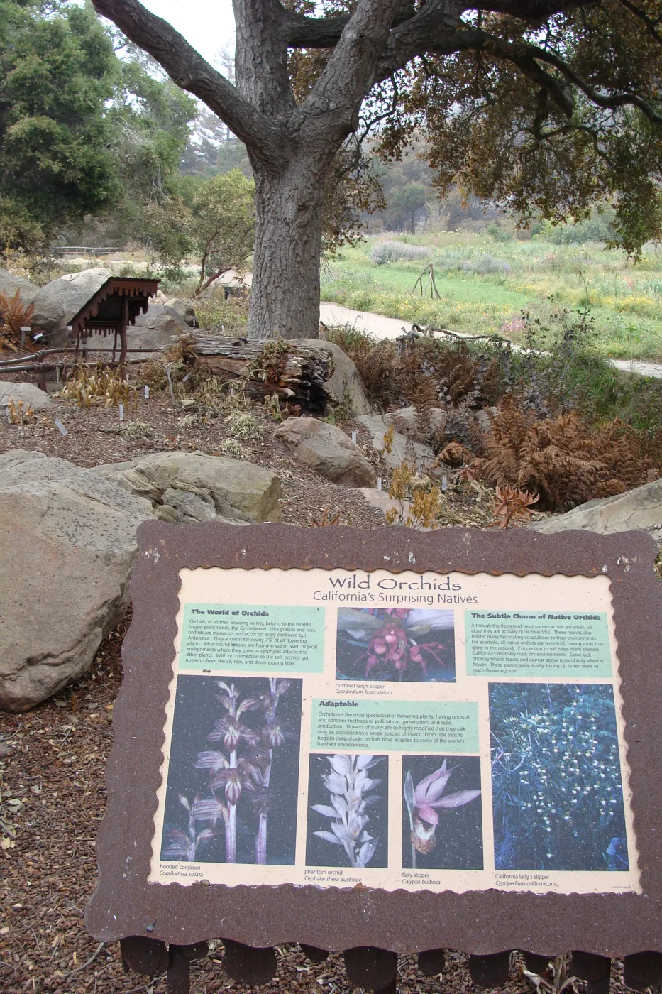 Wild Orchids sign, Santa Barbara Botanic Garden, after the Jesusita Fire
