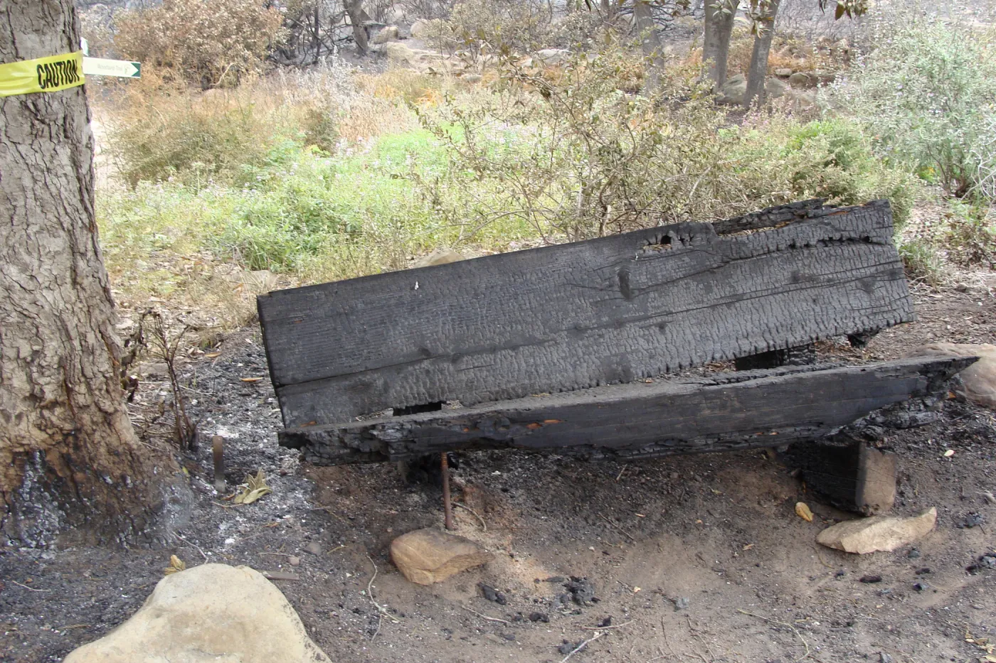 burned wood bench, at the top of the Meadow, Santa Barbara Botanic Garden, after the Jesusita Fire