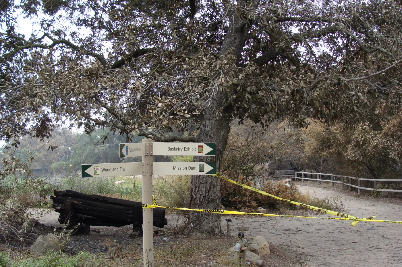 burned wood bench at top of Meadow, Santa Barbara Botanic Garden, after the Jesusita Fire