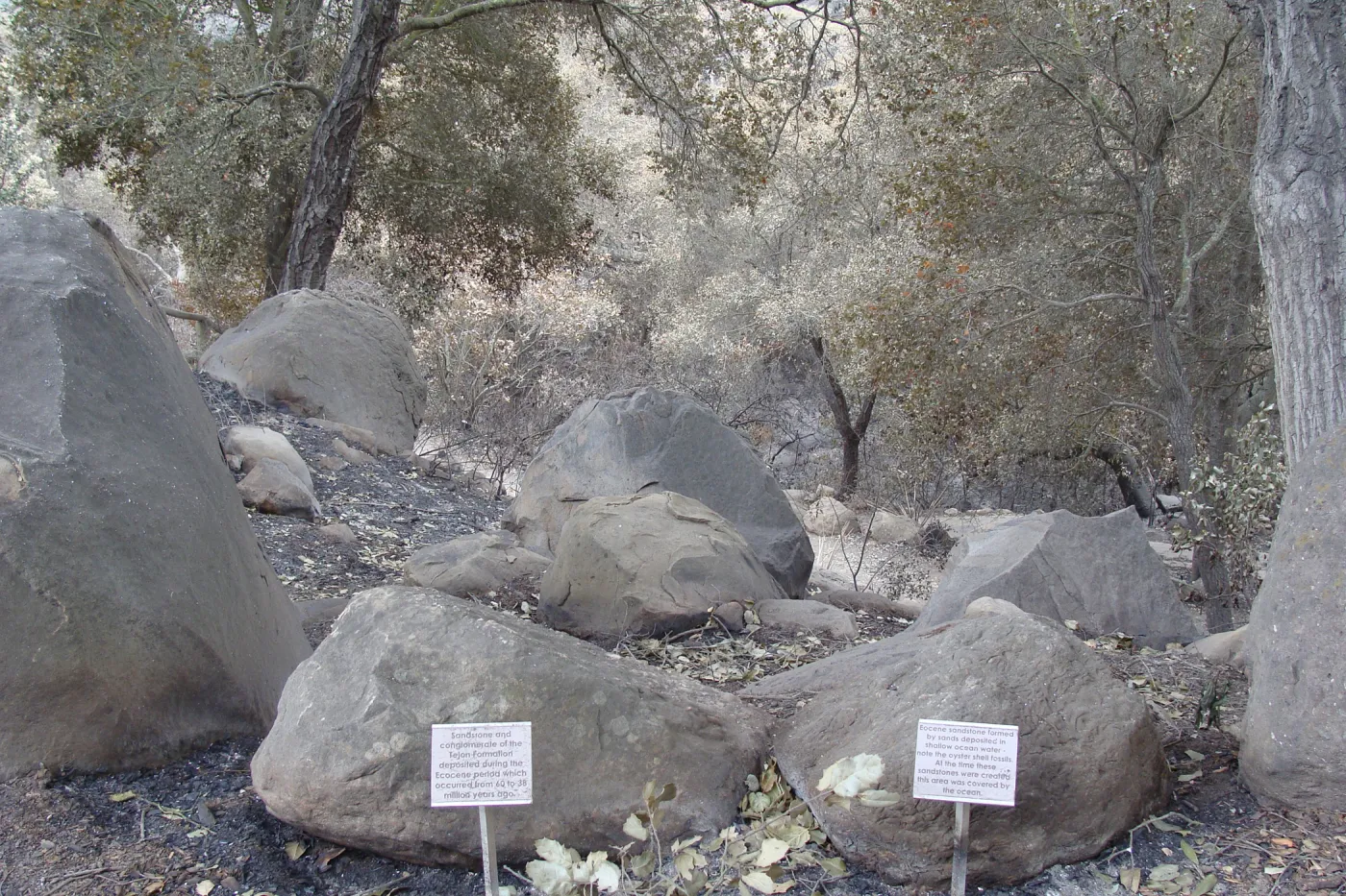 Sandstone boulder interpretation labels, area burned in the Jesusita Fire