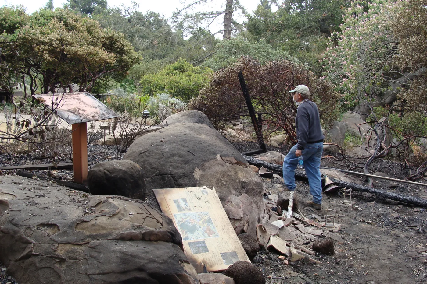 surveying the damage at the Home Demonstration Deck, Santa Barbara Botanic Garden, after the Jesusita Fire