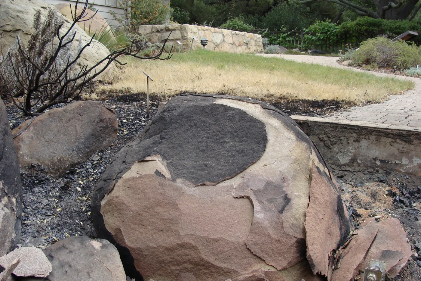 burned sandstone boulder, Santa Barbara Botanic Garden, after the Jesusita Fire