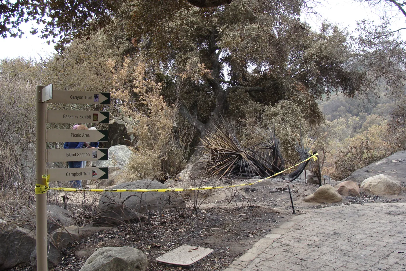 Directional sign in the Desert Section, after the Jesusita Fire