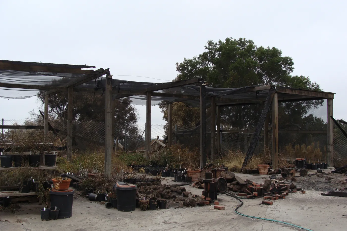 Shade structure at the Hort Unit with potted plants, after the Jesusita Fire