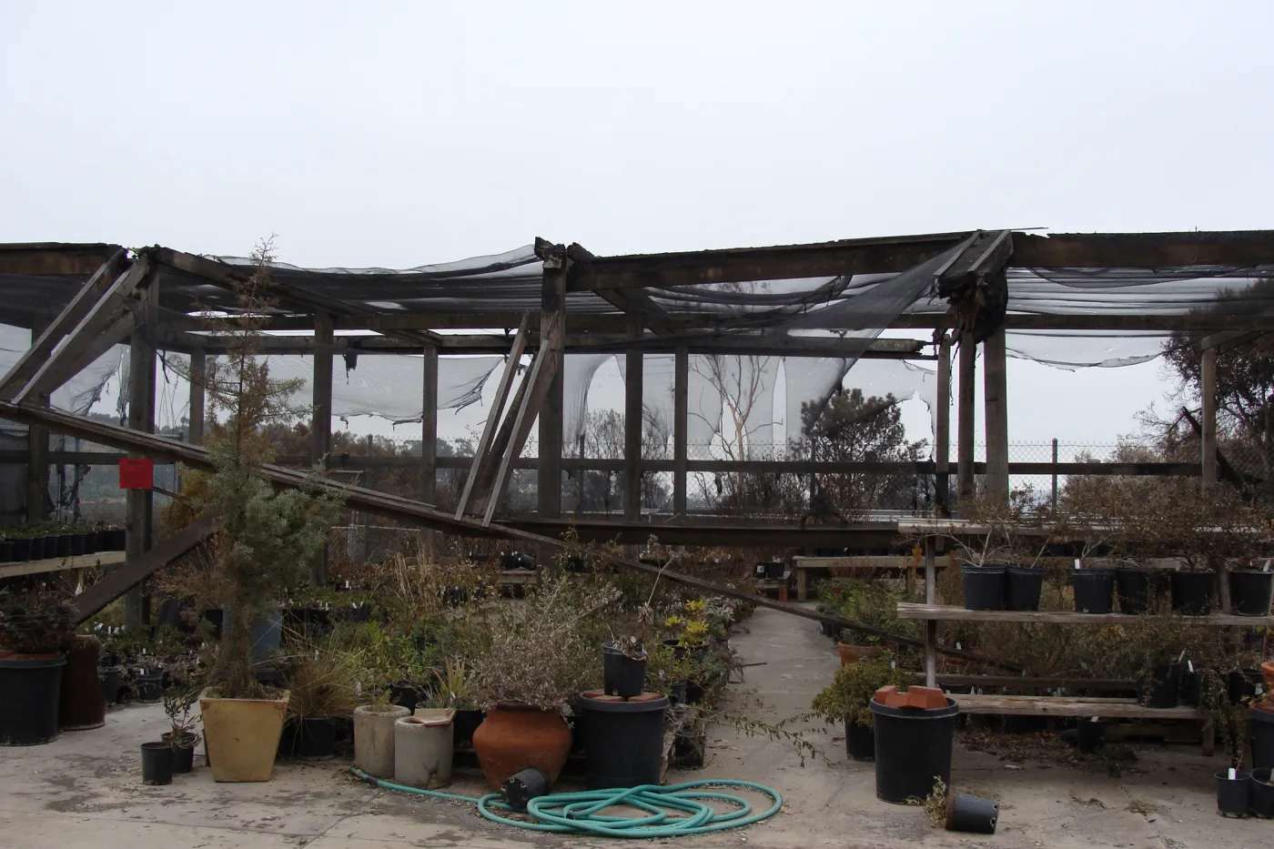 shade structure and potted plants at the Hort Unit, after the Jesusita Fire