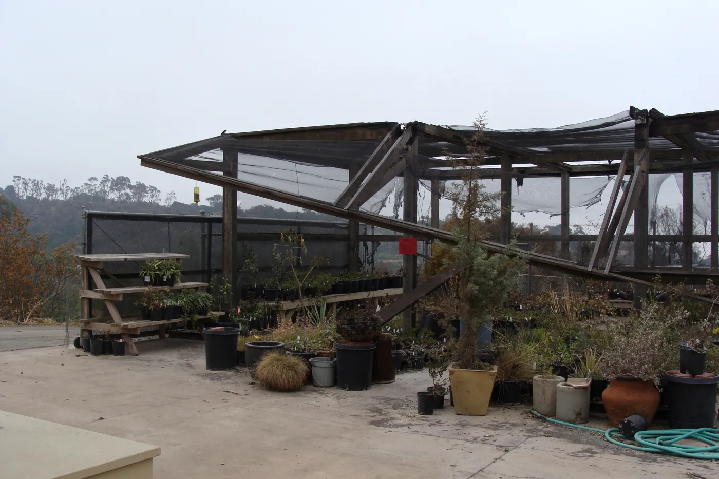 shade structure and potted plants at the Hort Unit, after the Jesusita Fire