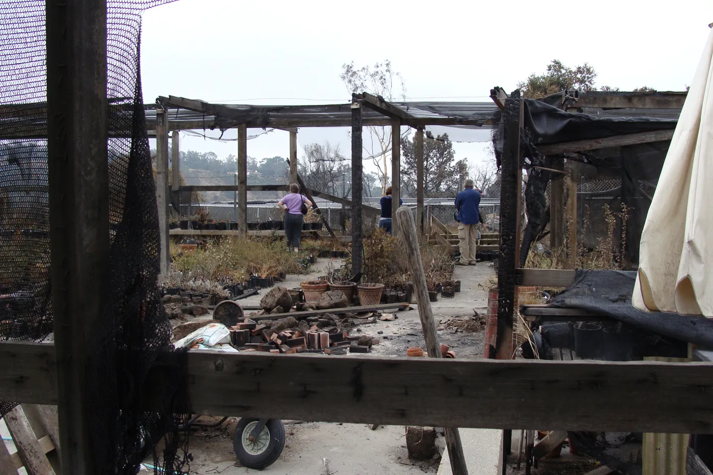 SBBG staff examine the damage to the Hort Unit, after the Jesusita Fire