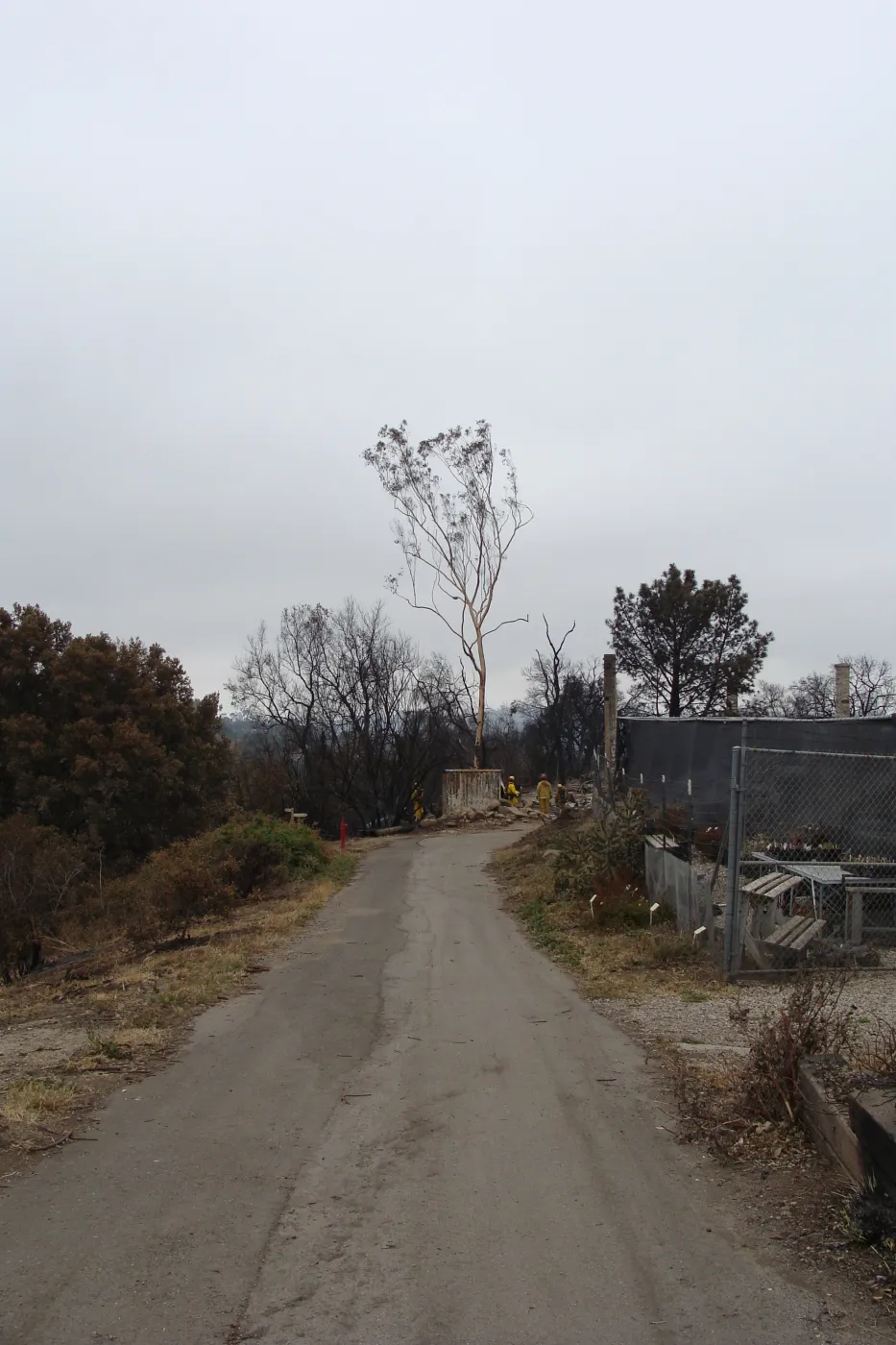 Driveway adjacent to the Hort Unit, after the Jesusita Fire