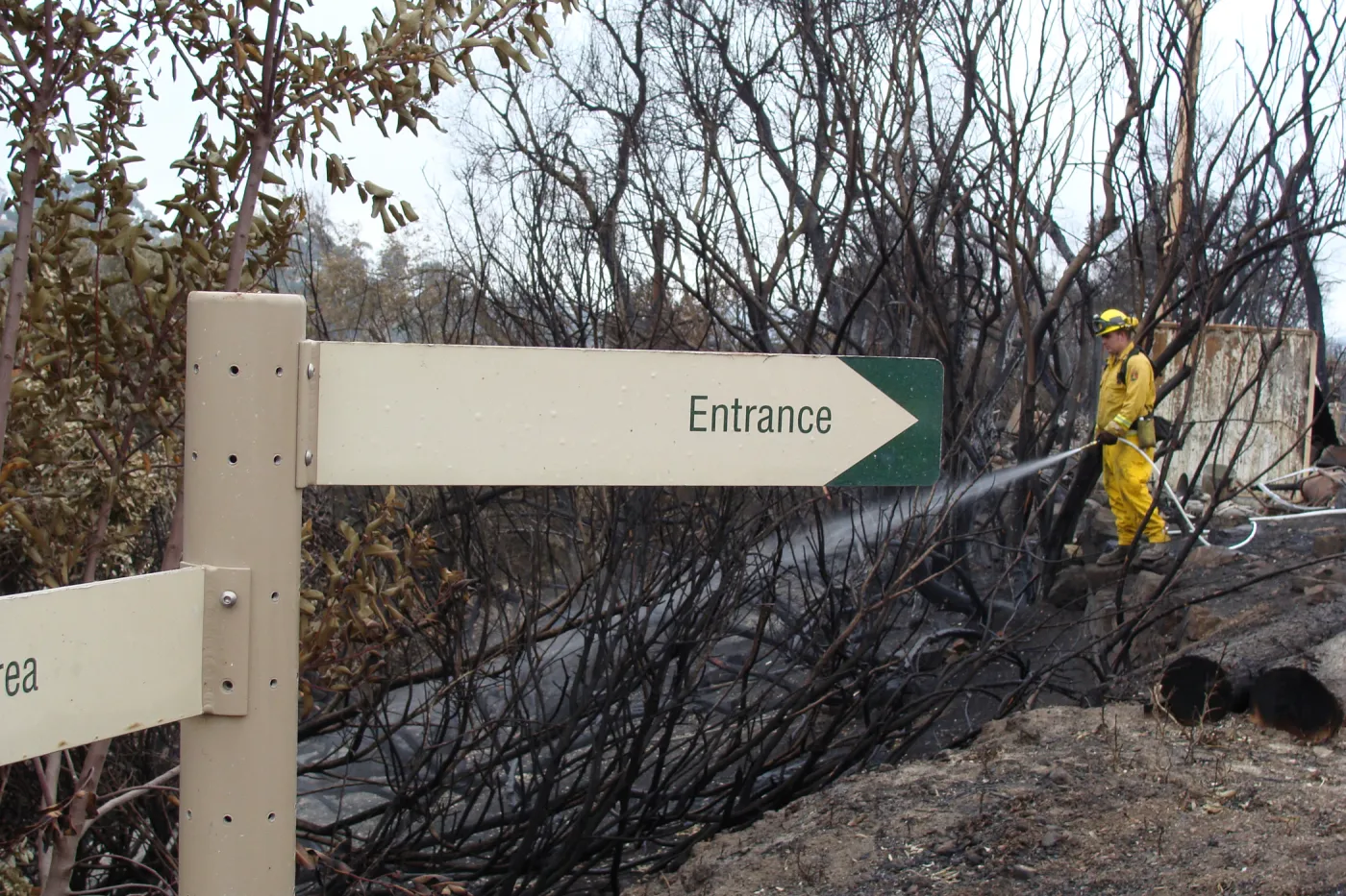 Fire fighter spraying water on the East Slope, after the Jesusita Fire
