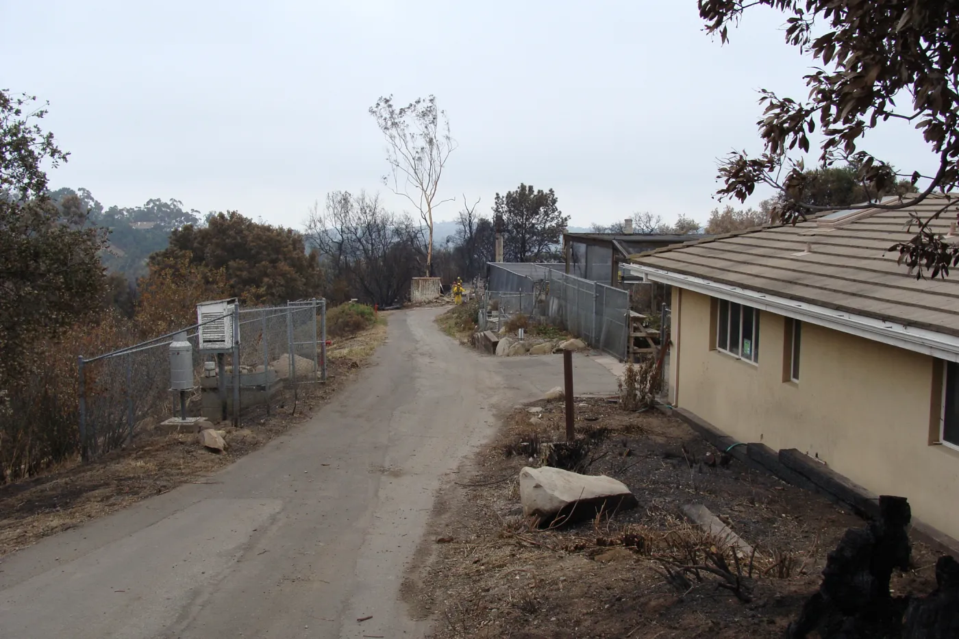 Driveway adjacent to the Hort Unit and Test Plot, after the Jesusita Fire