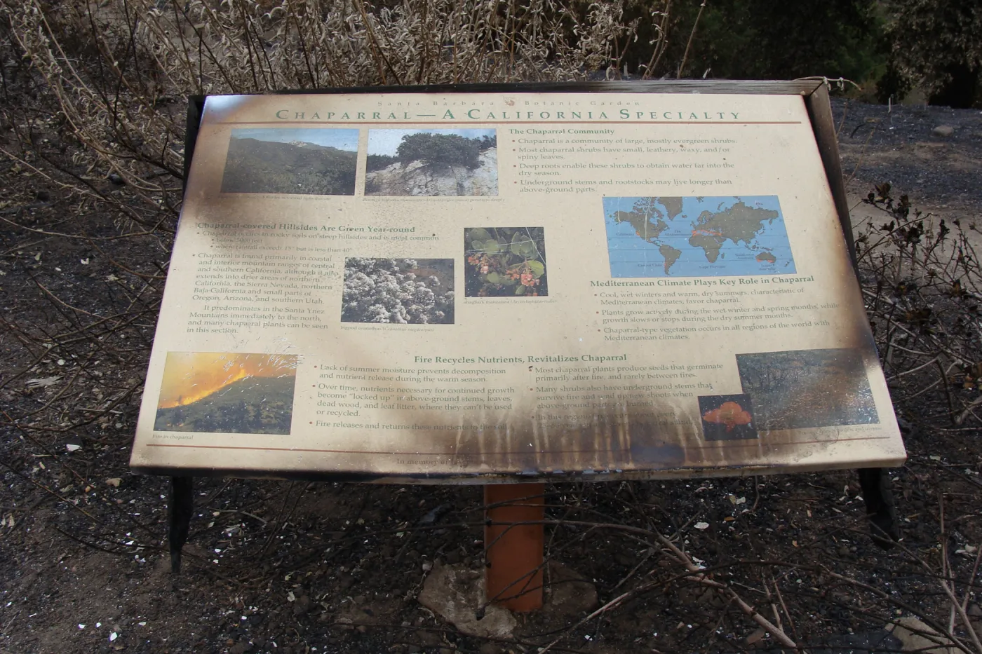 'Chaparral' sign burned in the Jesusita Fire