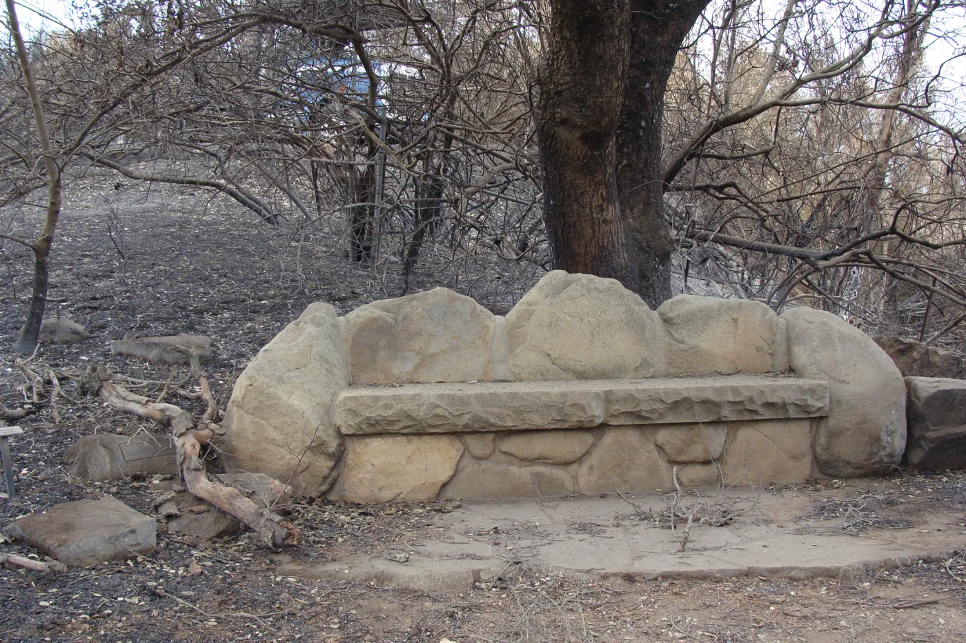 Stone bench and burned vegetation on the Porter Trail, after the Jesusita Fire