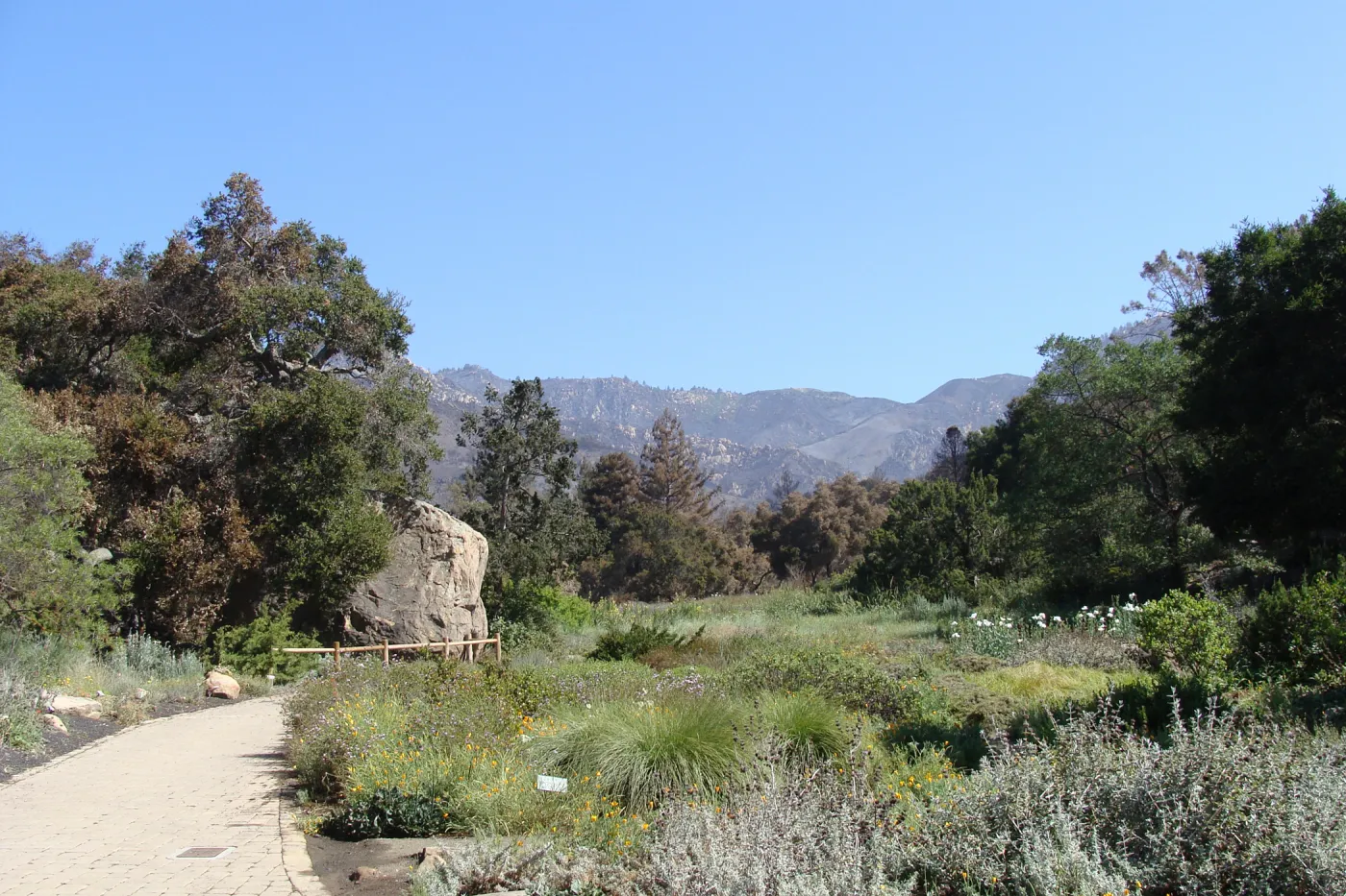Meadow view to the mountains, after the Jesusita Fire