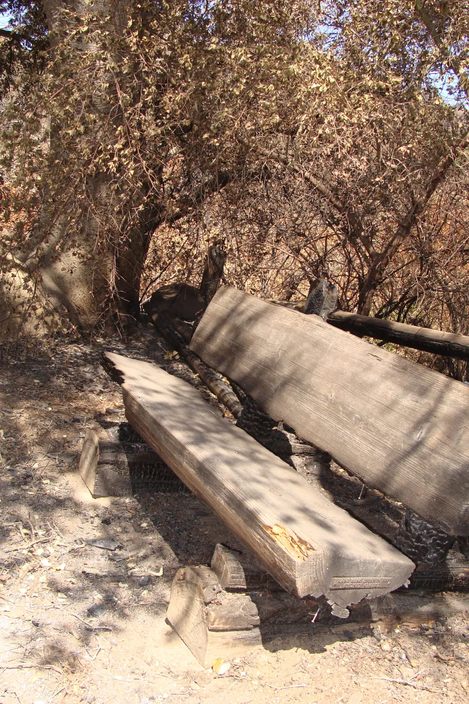 burned wood bench in Meadow Oaks, after the Jesusita Fire