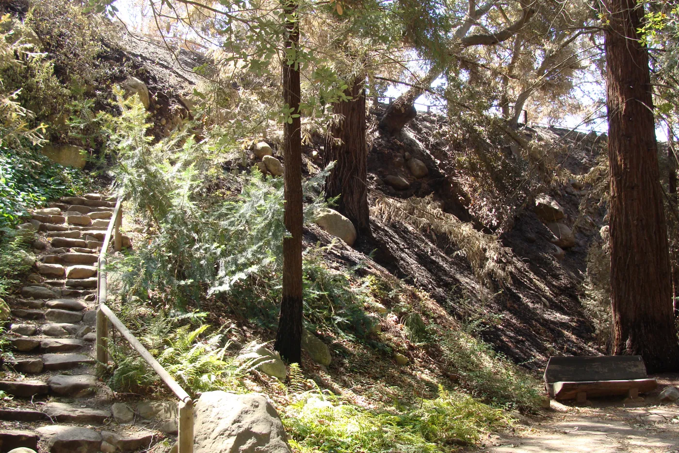 Indian Steps with burned canyon slope, after the Jesusita Fire