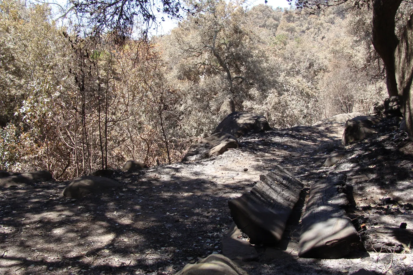 burned wood bench on the Pritchett Trail, after the Jesusita Fire
