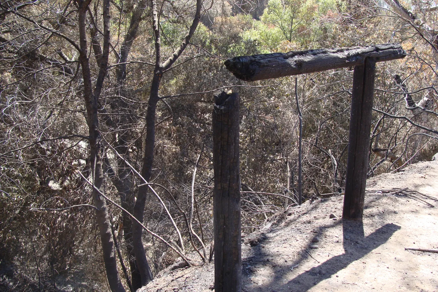 burned railing on the Pritchett Trail, after the Jesusita Fire