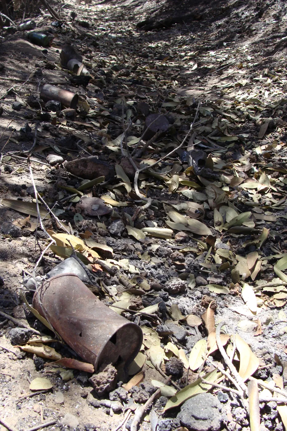 old tin cans litter the Pritchett Trail after the Jesusita Fire