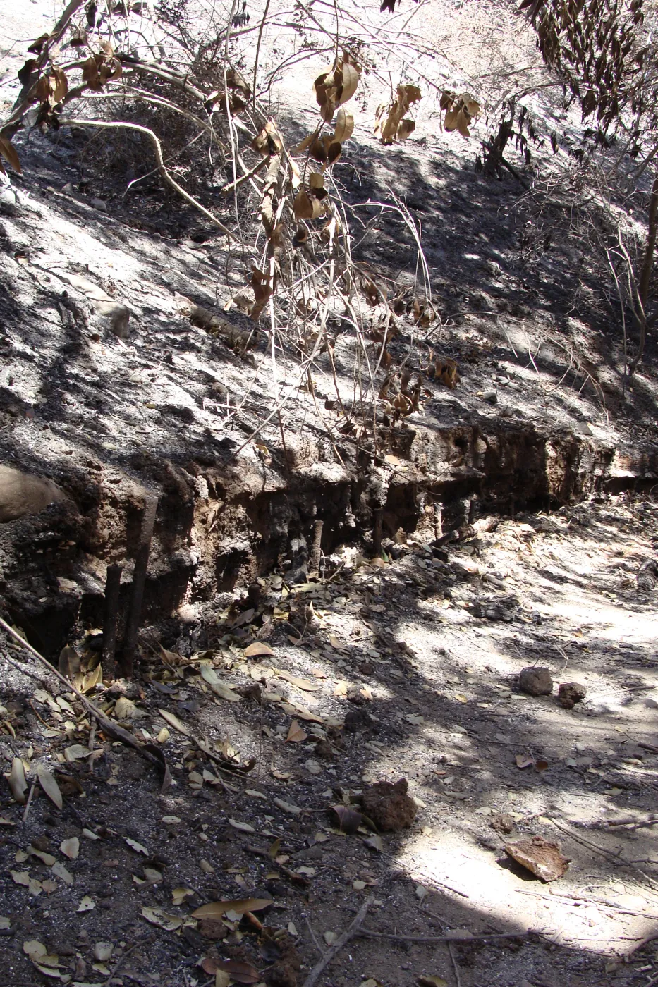 remains of burned retaining wall along the Pritchett Trail, after the Jesusita Fire
